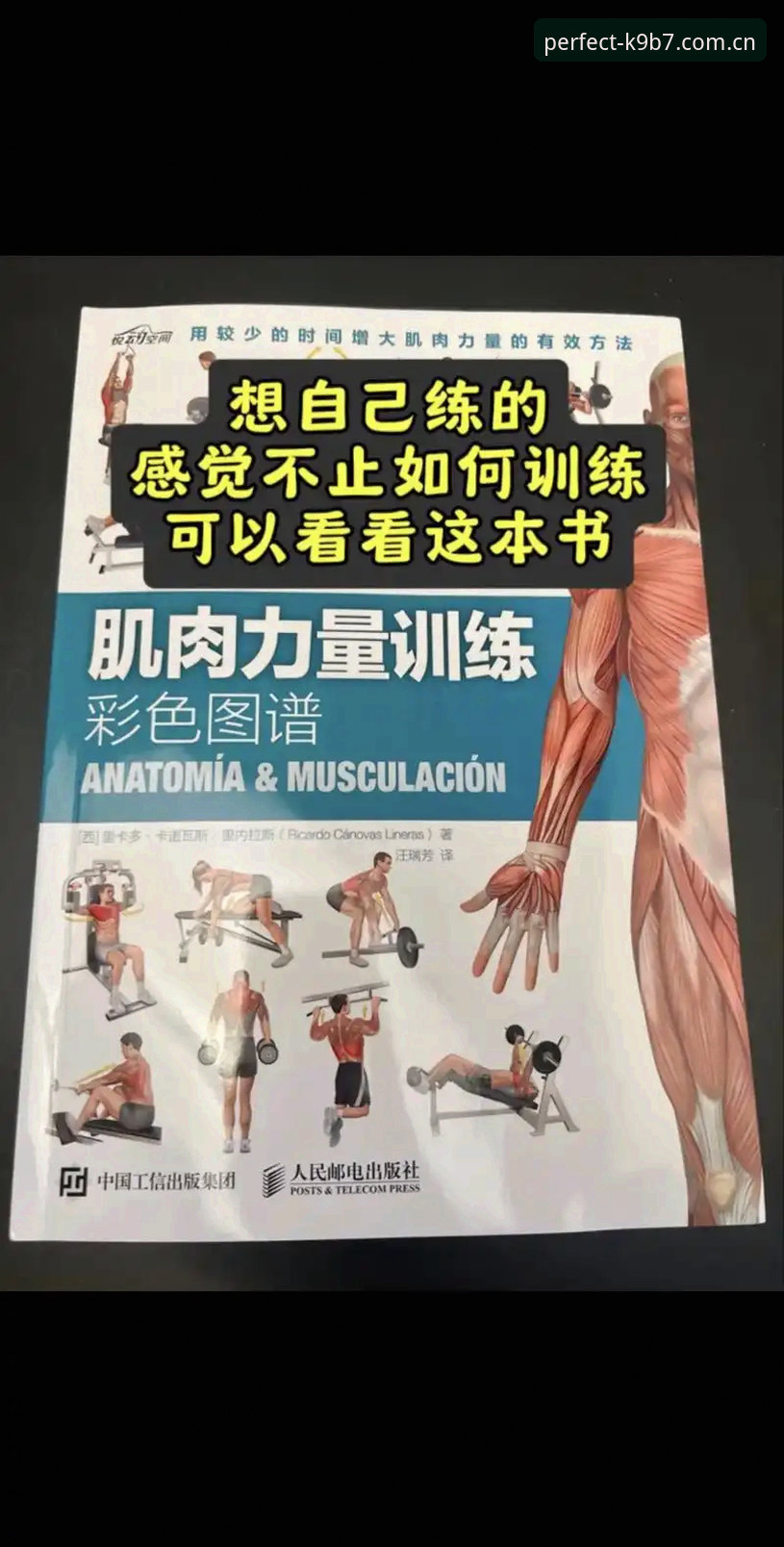 完美体育使用教程详解：从入门到精通的操作指南